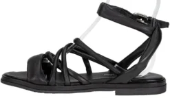 Sandal P43009-00